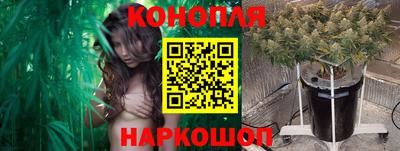 каннабис Будённовск