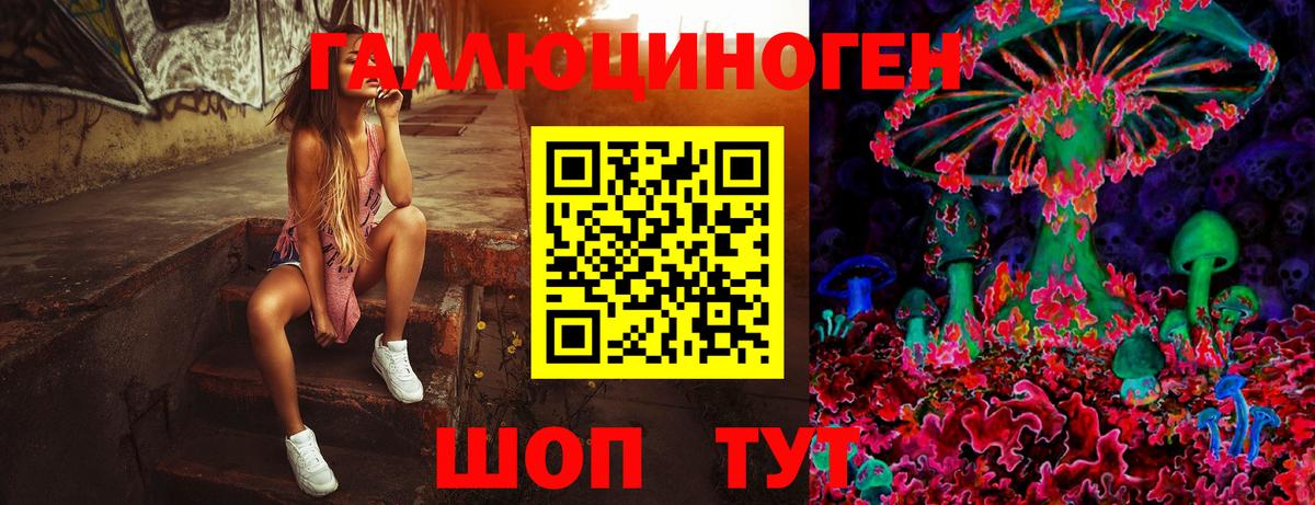 Усть-Илимск  Галлюциногенные грибы ЛСД  Вход с VPN 